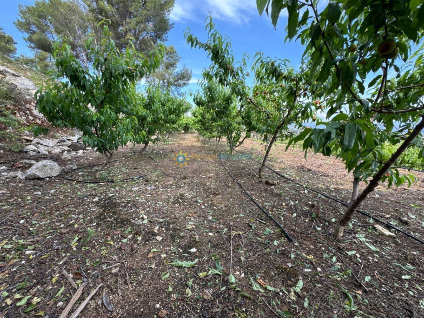 Plot for Sale in La Font d'En Carròs