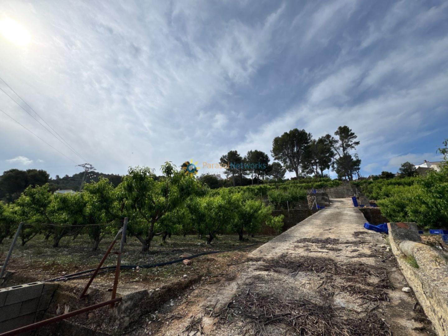 Plot for Sale in La Font d'En Carròs