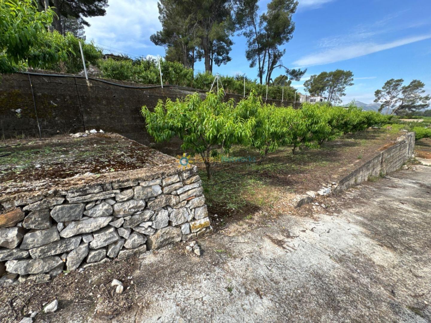 Plot for Sale in La Font d'En Carròs