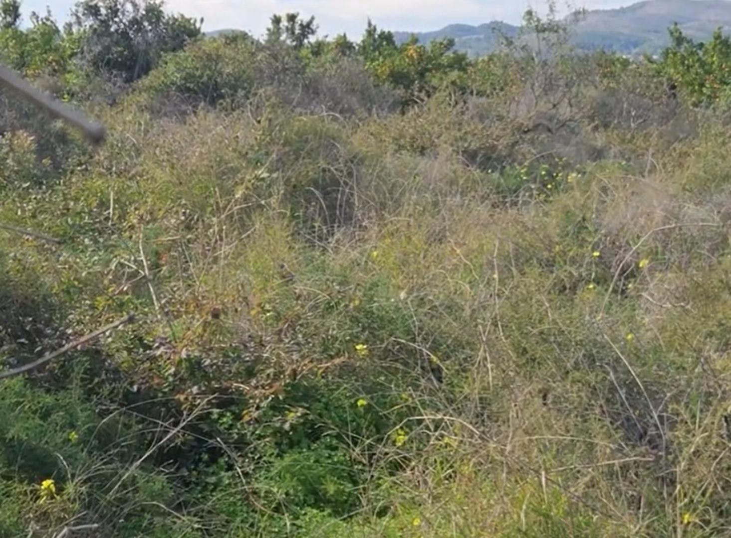Parcela en Venta en Gandia