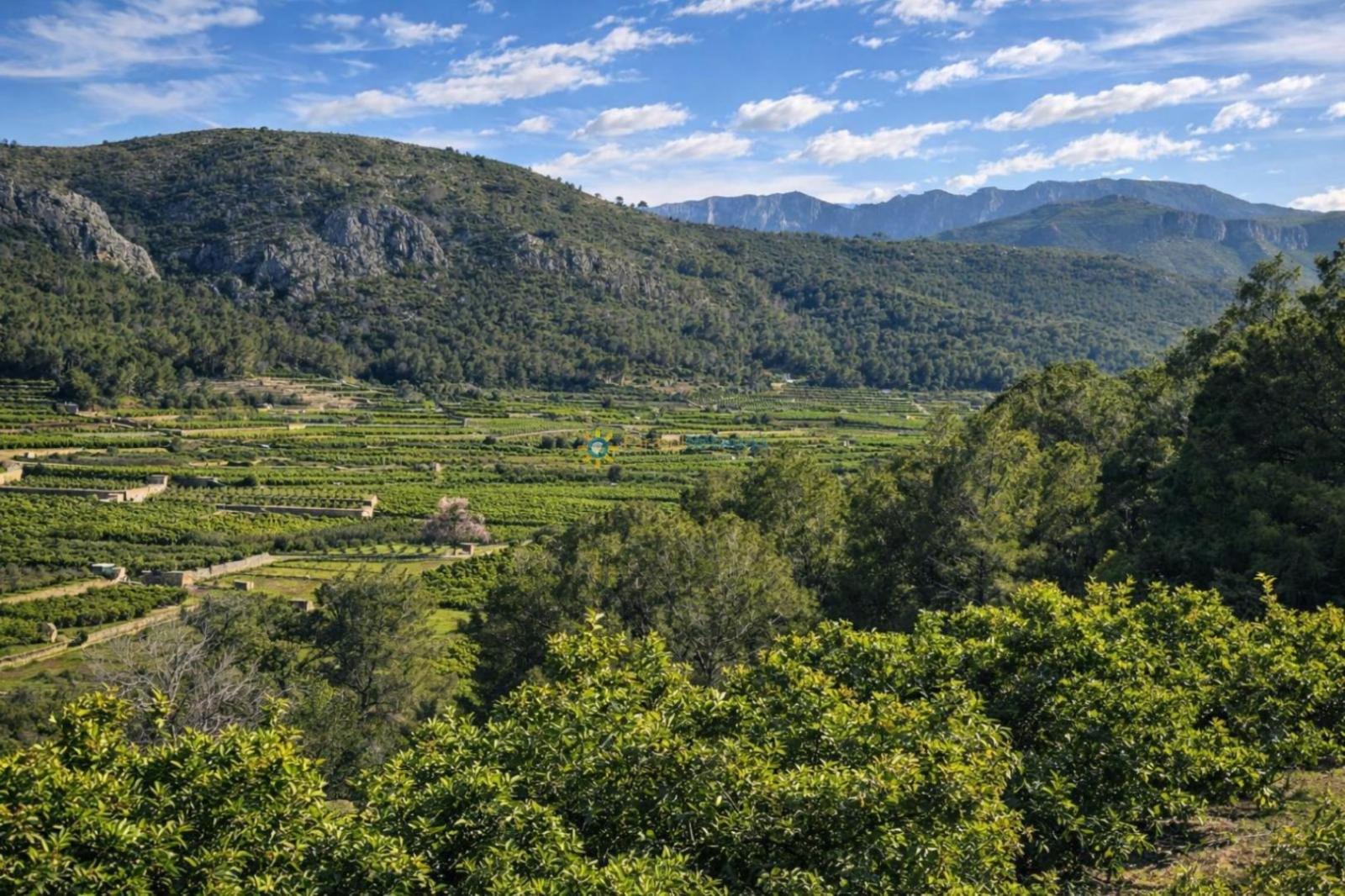Chalet for Sale in Alfauir