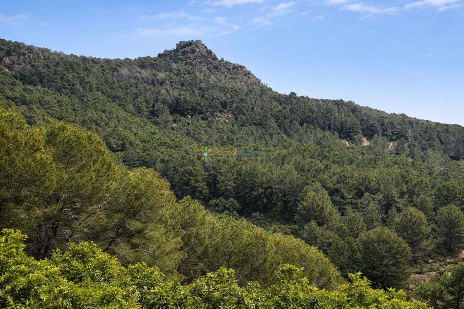 Chalet for Sale in Alfauir