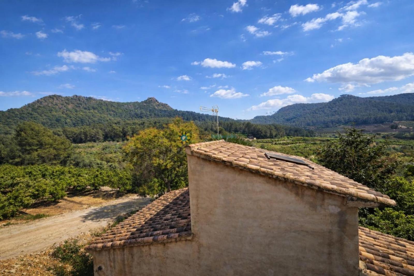 Chalet for Sale in Alfauir