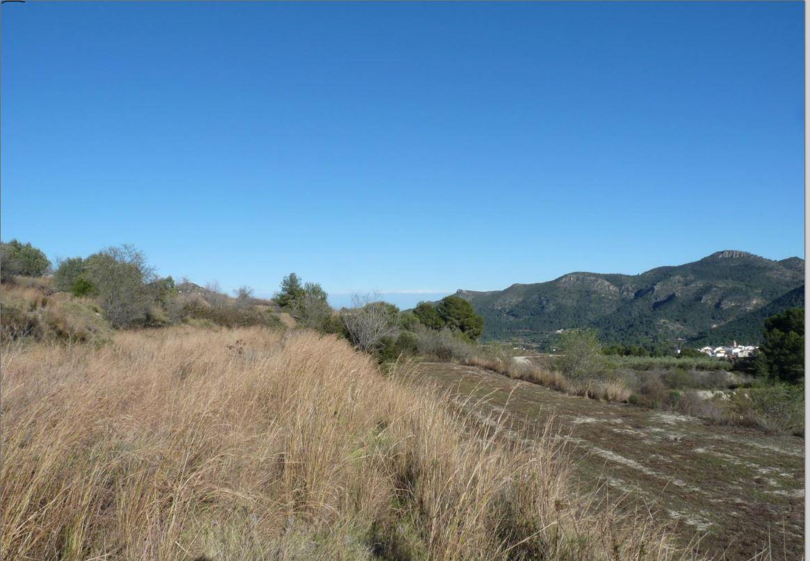 Plot for Sale in Castelló de Rugat