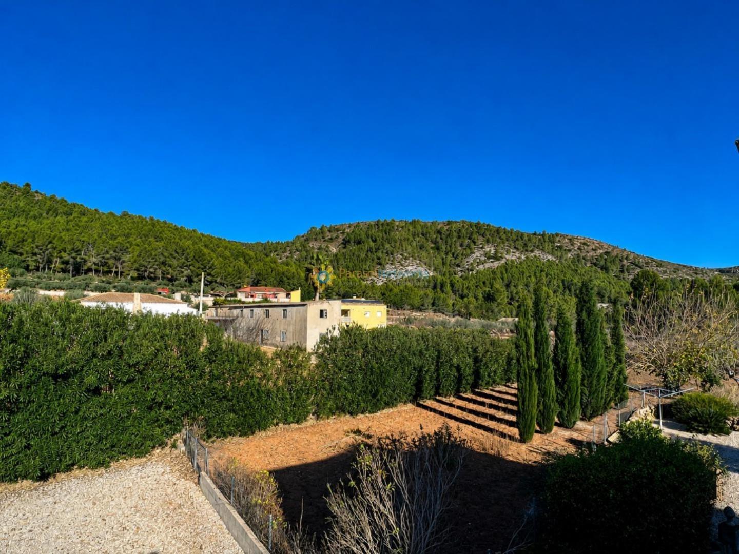 Villa for Sale in Olleria, l'