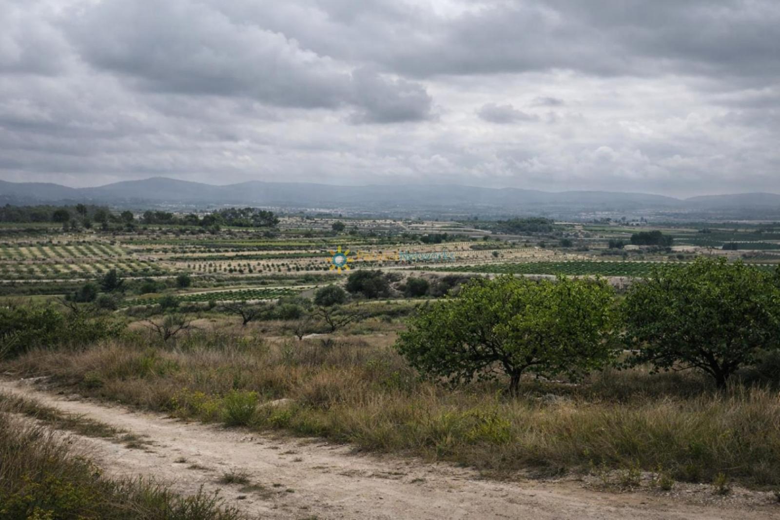 Parcela en Venta en Albaida