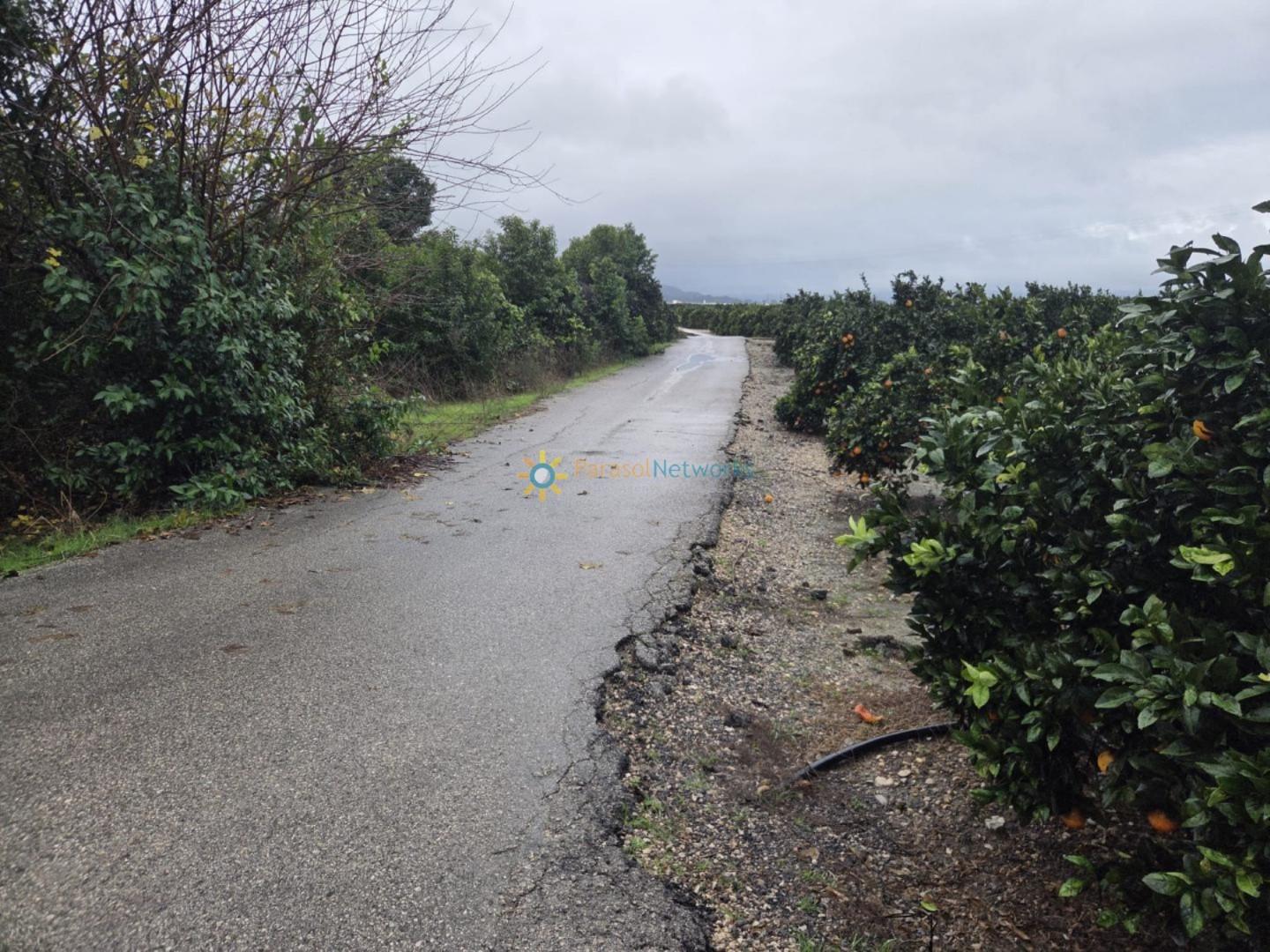 Plot for Sale in Senyera