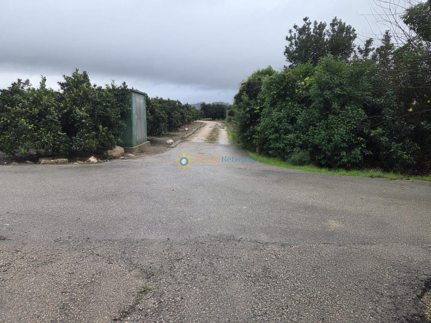 Plot for Sale in Senyera