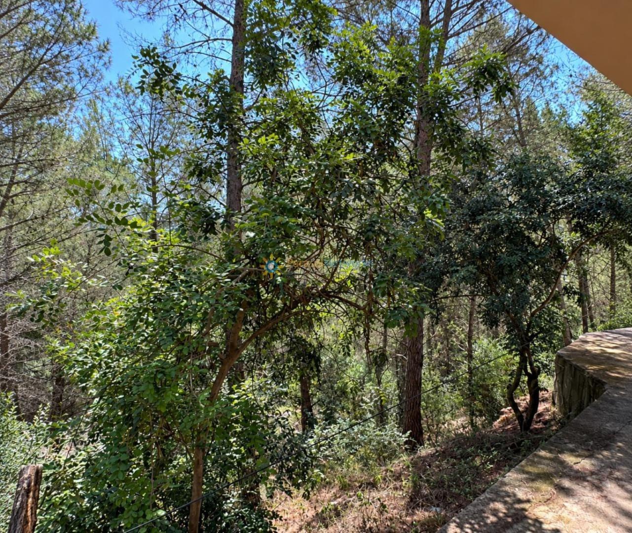Chalet for Sale in Almiserà