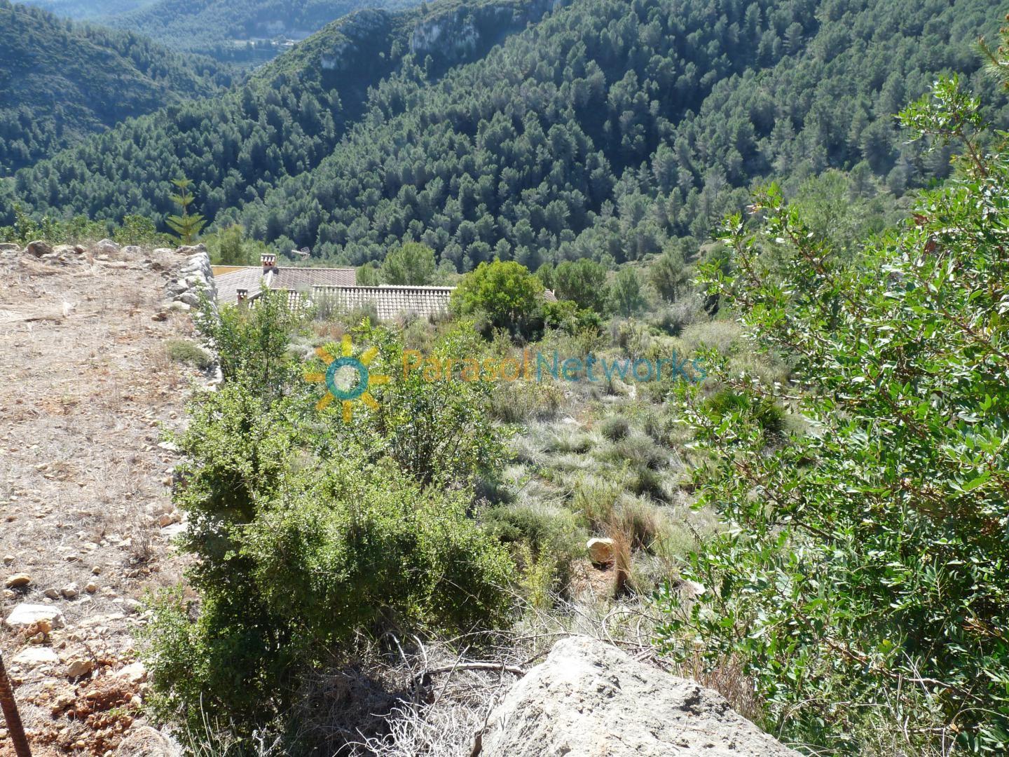 Plot for Sale in Oliva