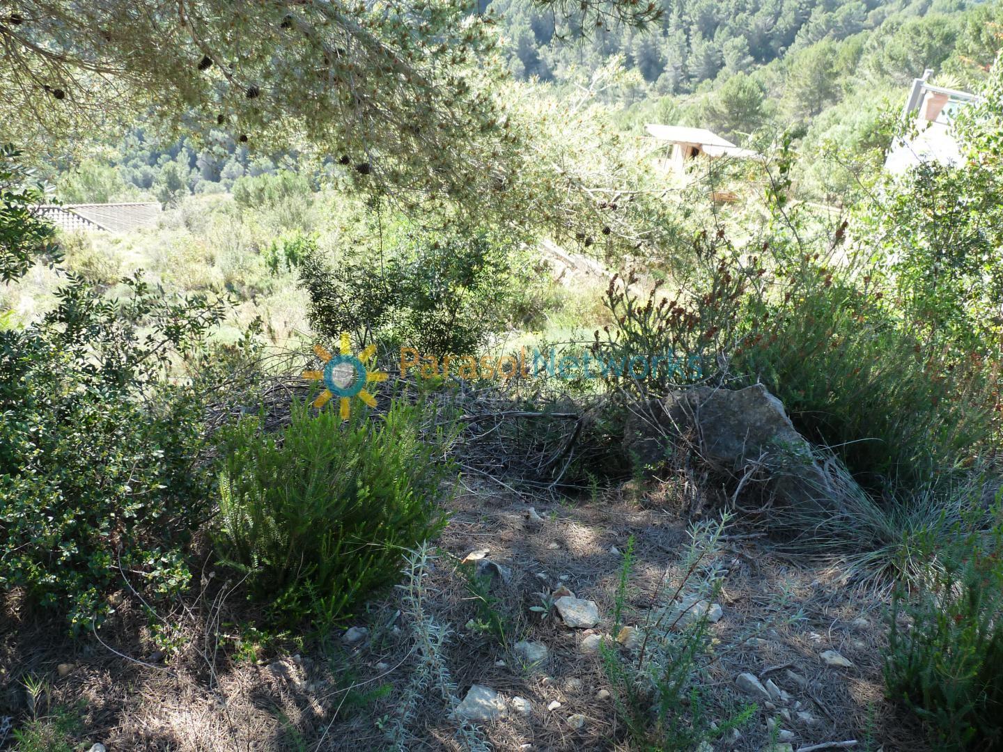 Plot for Sale in Oliva