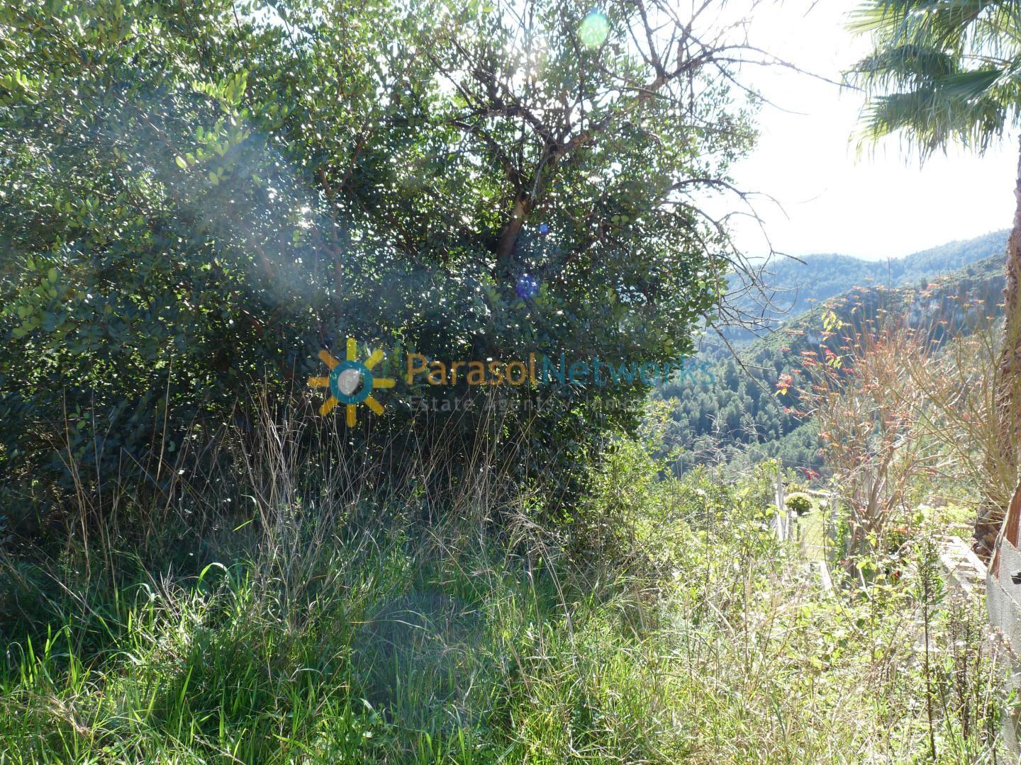 Plot for Sale in Oliva