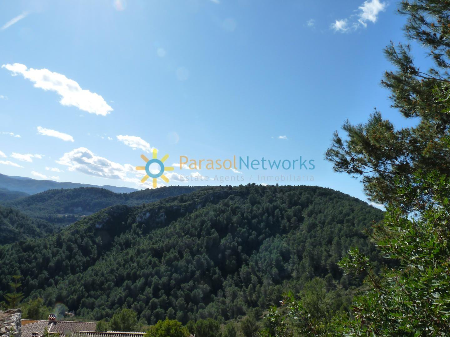 Plot for Sale in Oliva