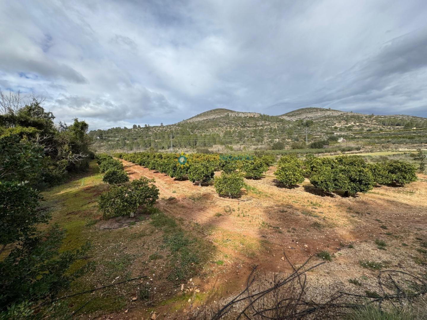 Plot for Sale in Benigánim