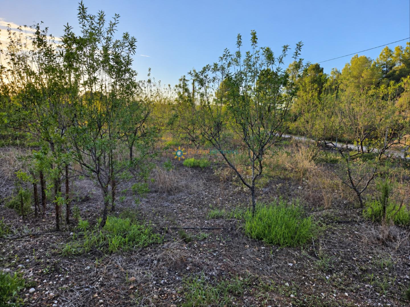 Villa en Venta en Villalonga