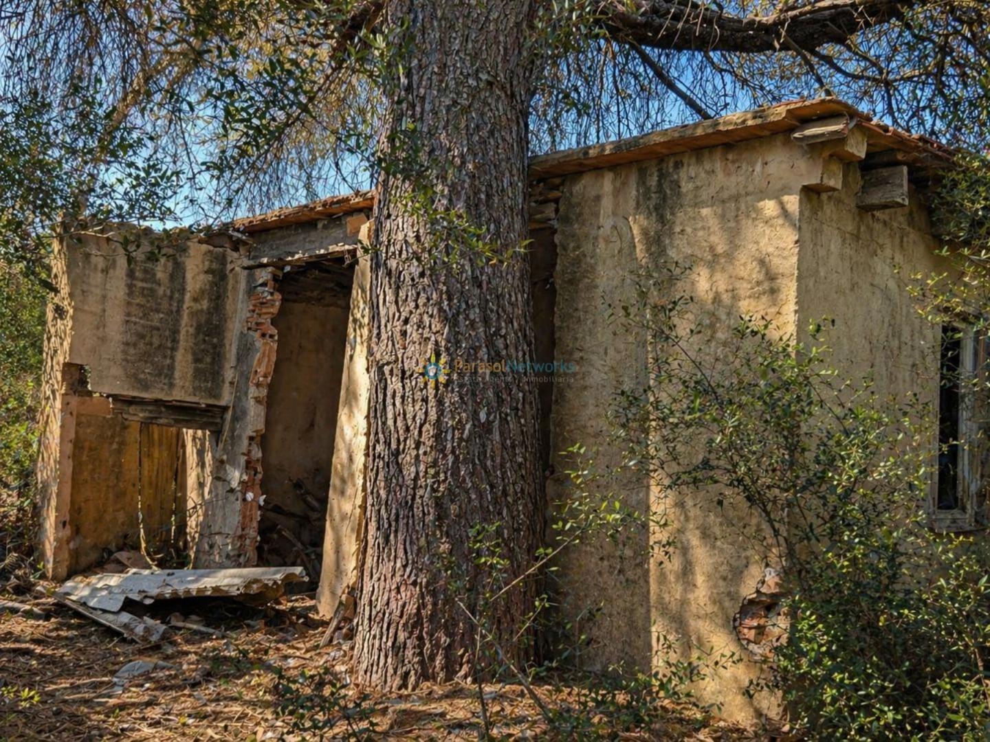 Parcela en Venta en Bellús