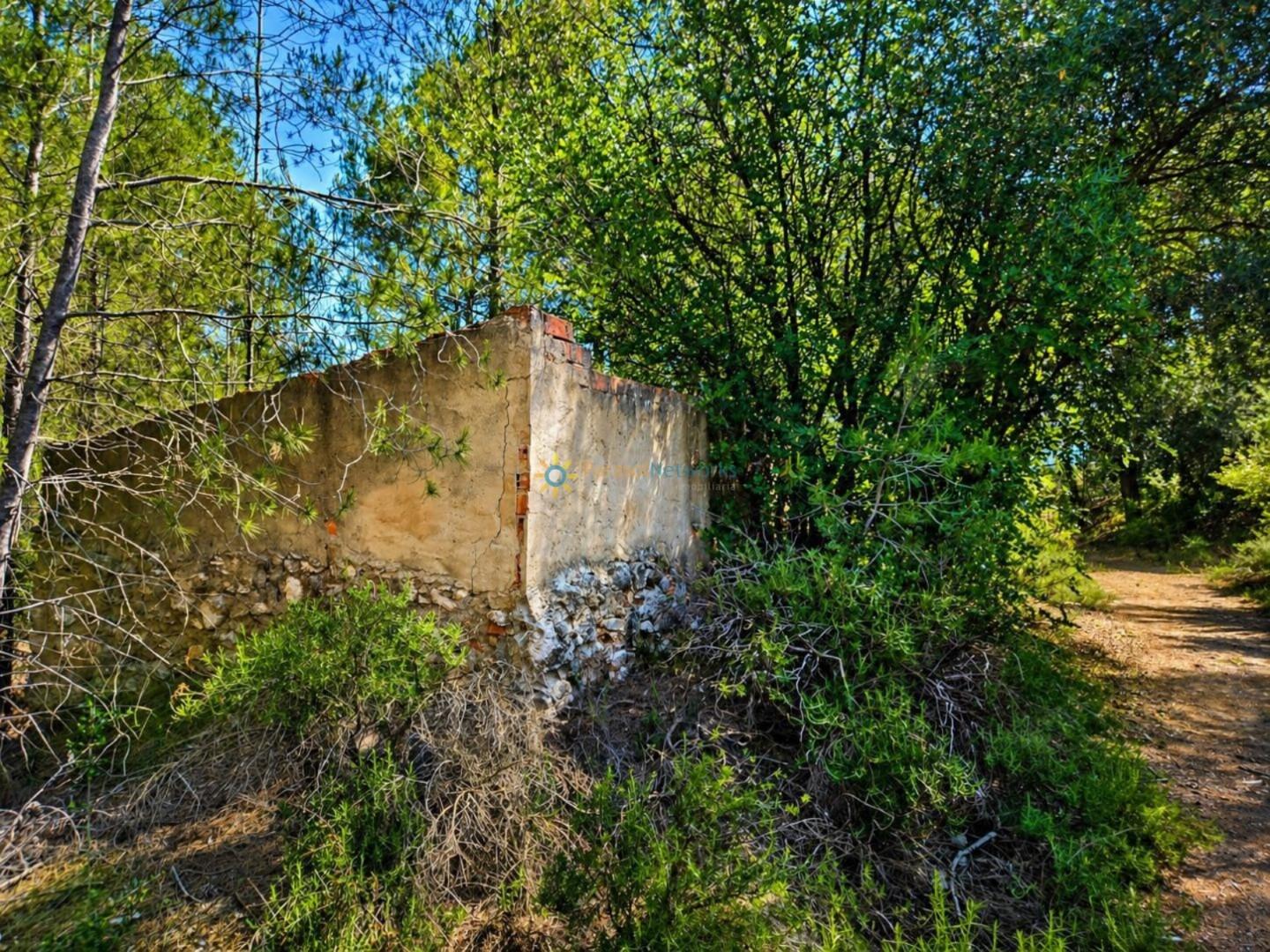 Parcela en Venta en Bellús