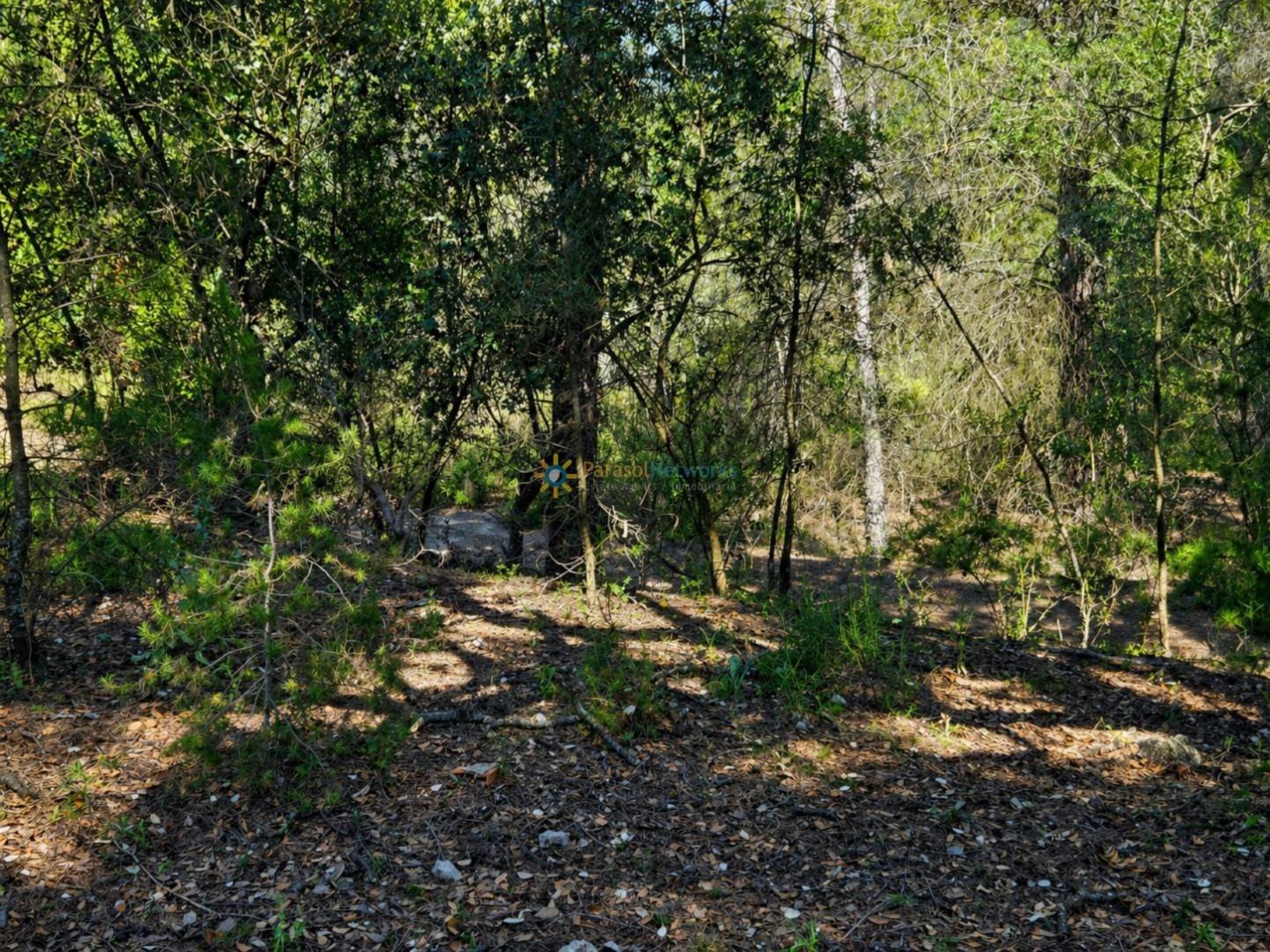 Parcela en Venta en Bellús