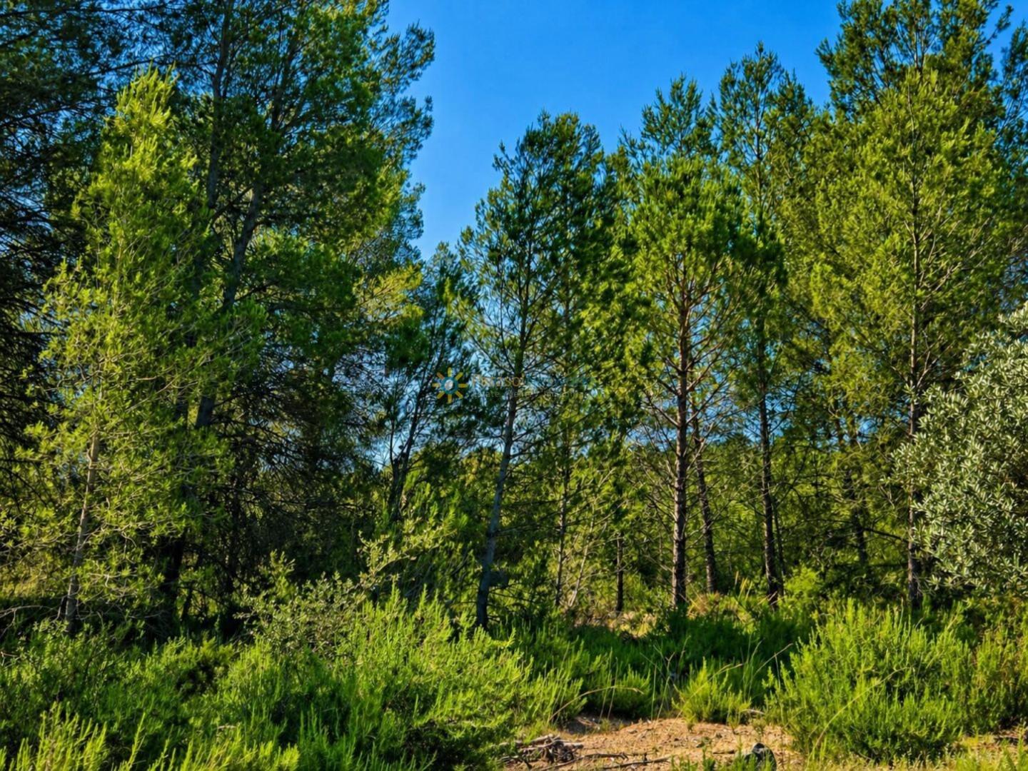 Parcela en Venta en Bellús