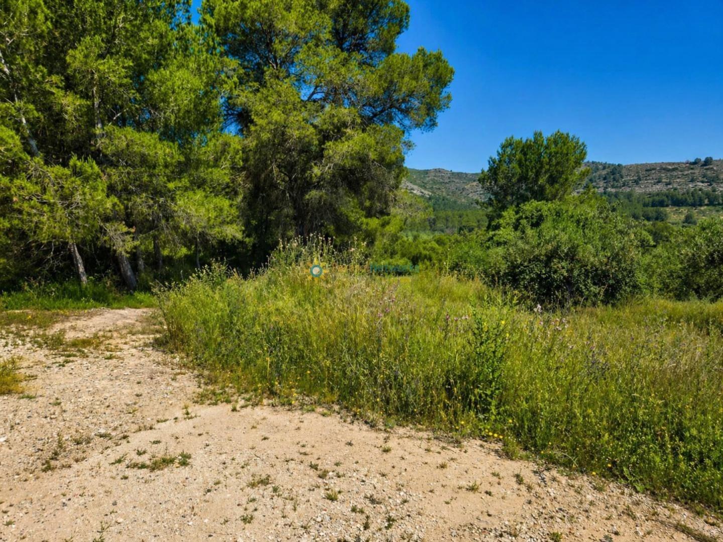 Parcela en Venta en Bellús