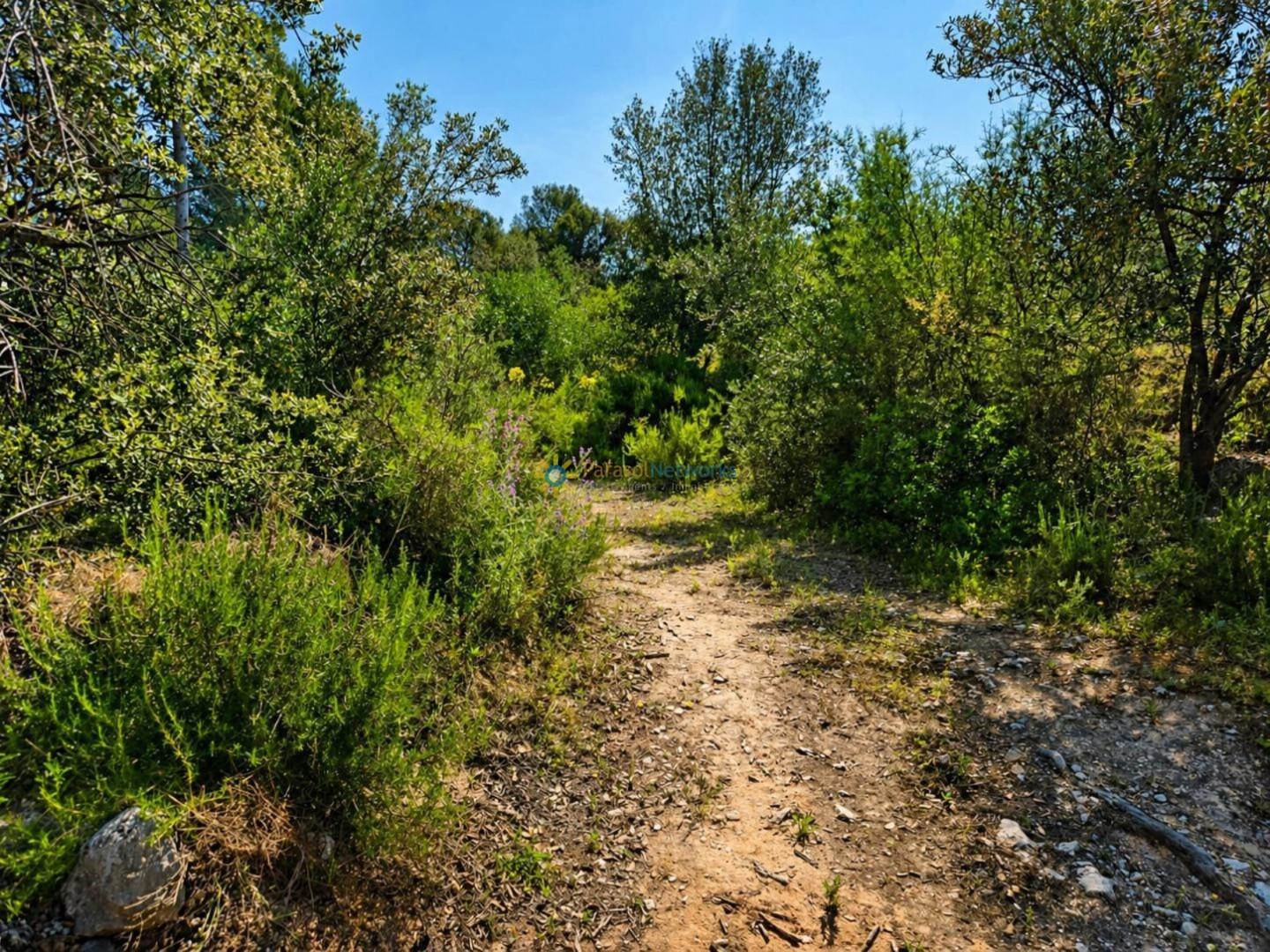 Parcela en Venta en Bellús