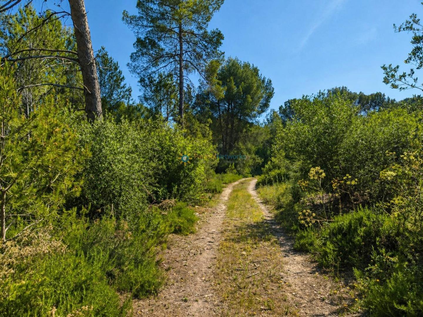 Parcela en Venta en Bellús