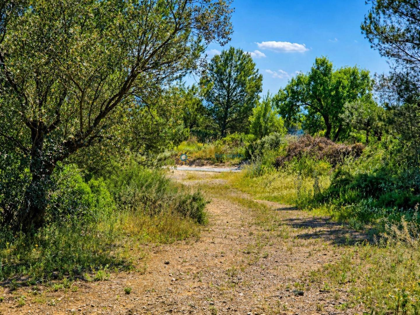 Parcela en Venta en Bellús