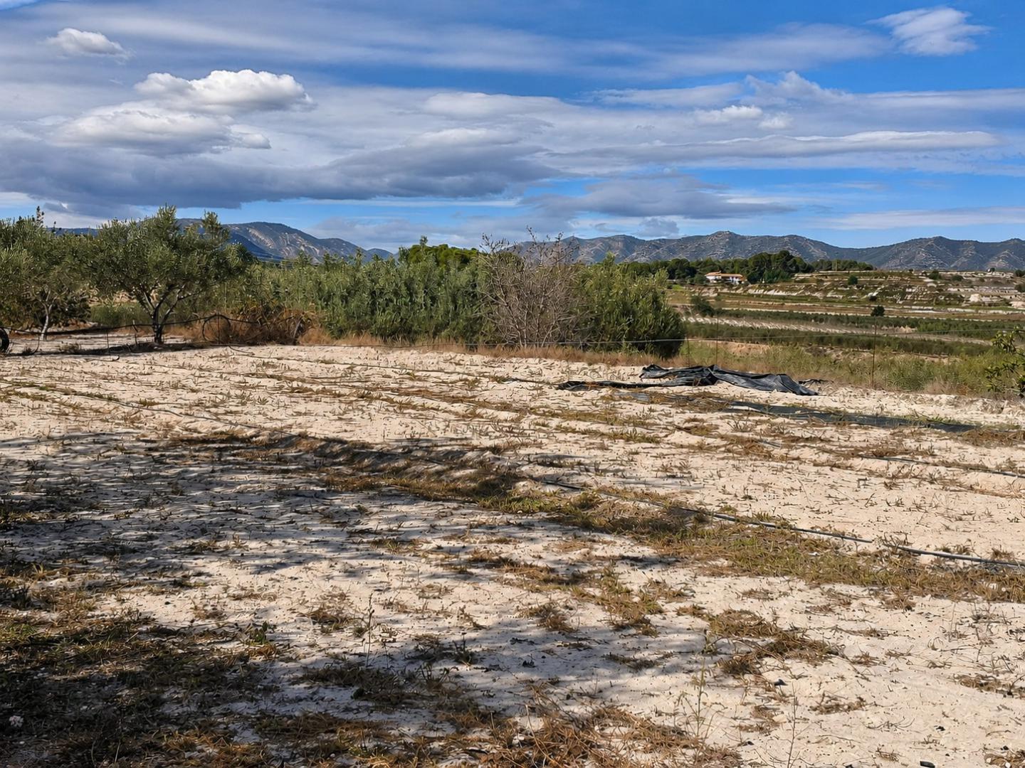 Chalet en Venta en Bufali