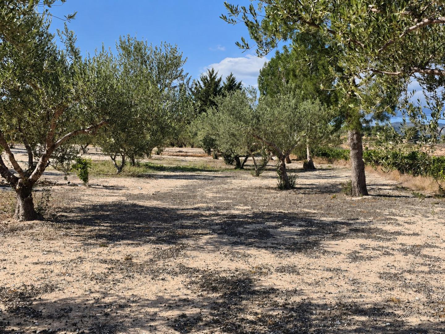 Chalet en Venta en Bufali