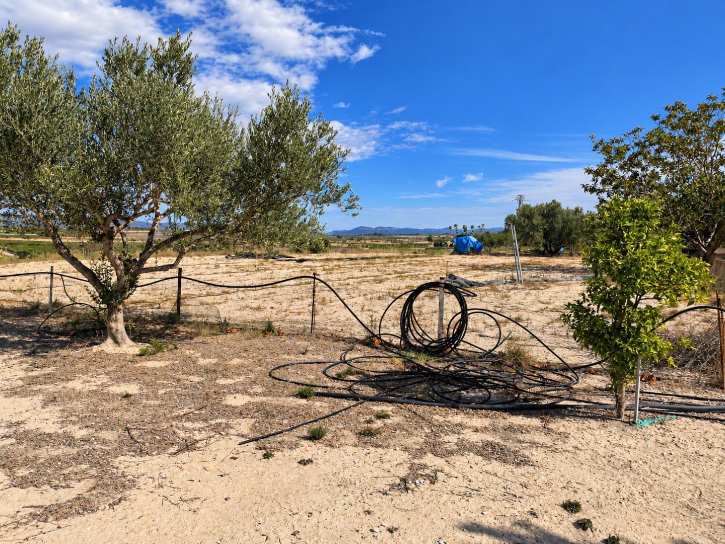Chalet en Venta en Bufali
