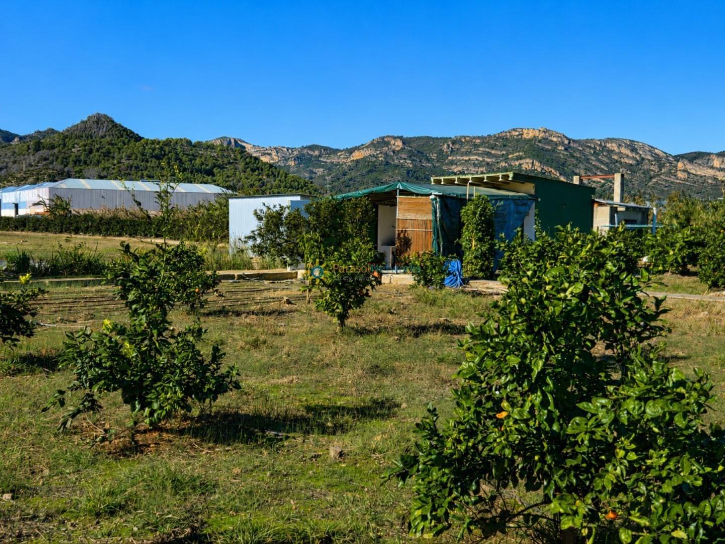 Parcela en Venta en Xeraco