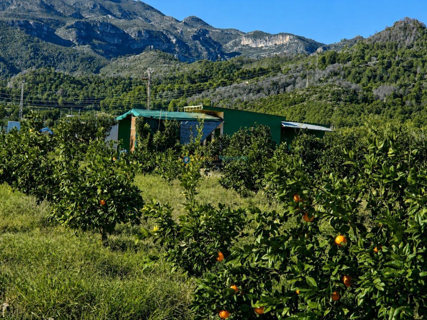 Parcela en Venta en Xeraco