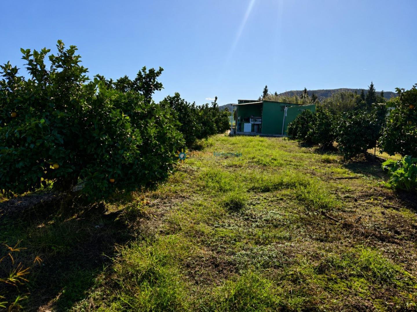 Parcela en Venta en Xeraco
