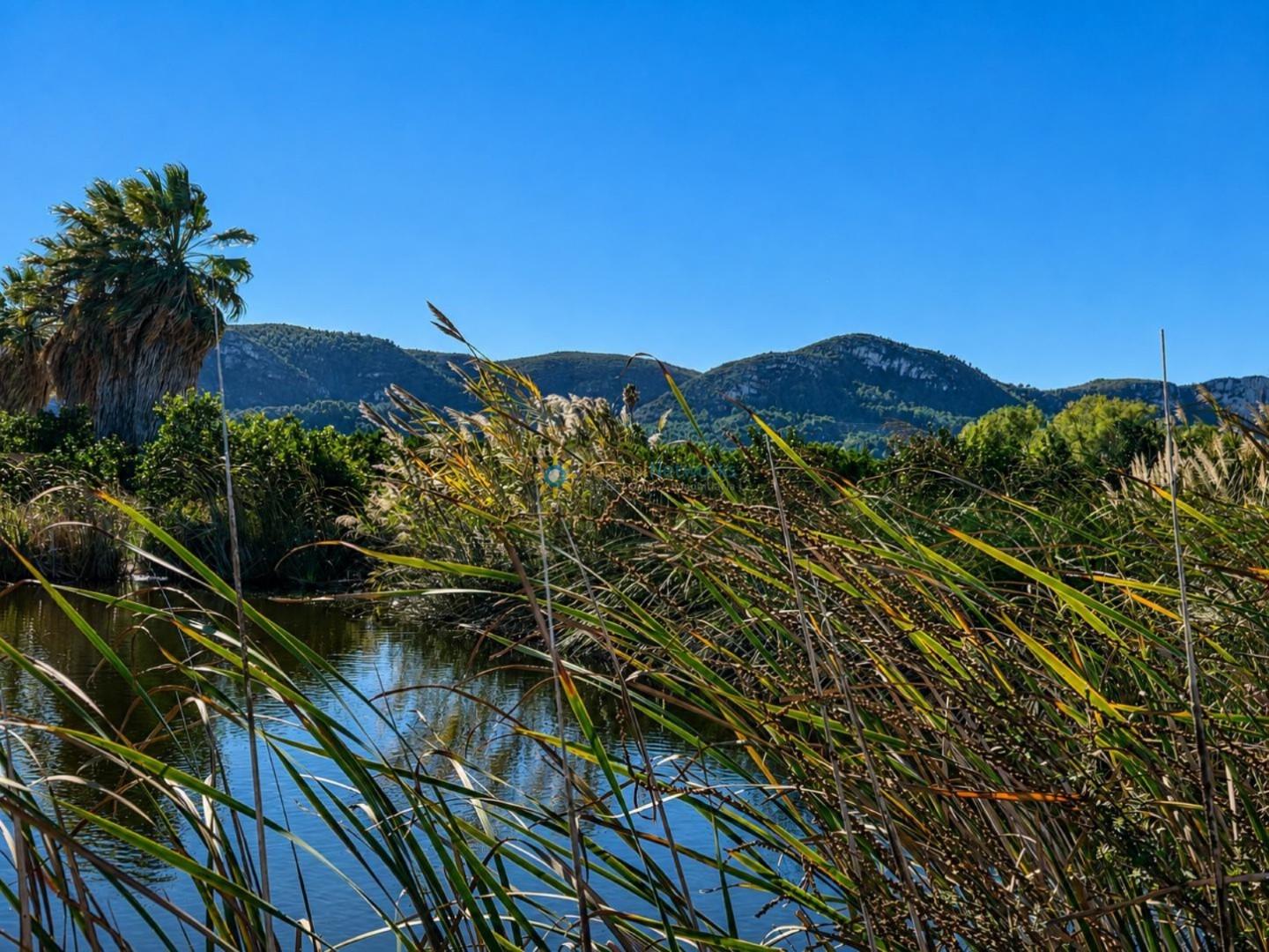 Parcela en Venta en Xeraco
