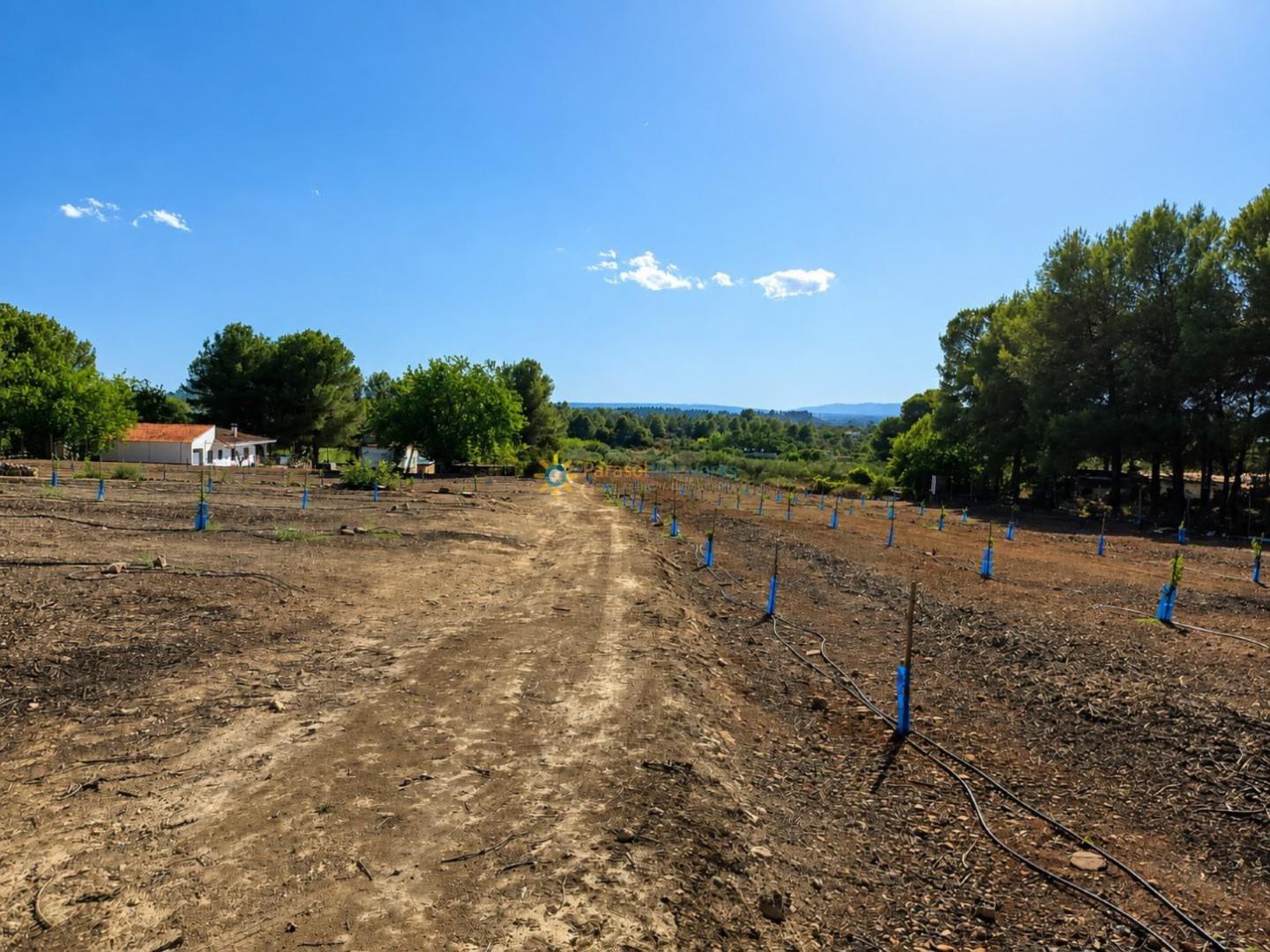 Parcela en Venta en Sumacàrcer