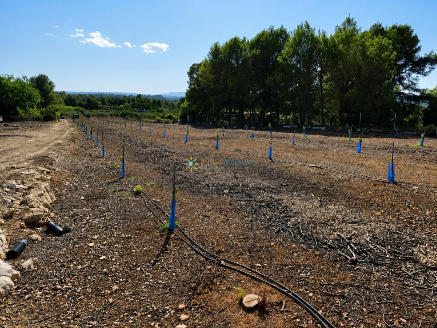 Parcela en Venta en Sumacàrcer