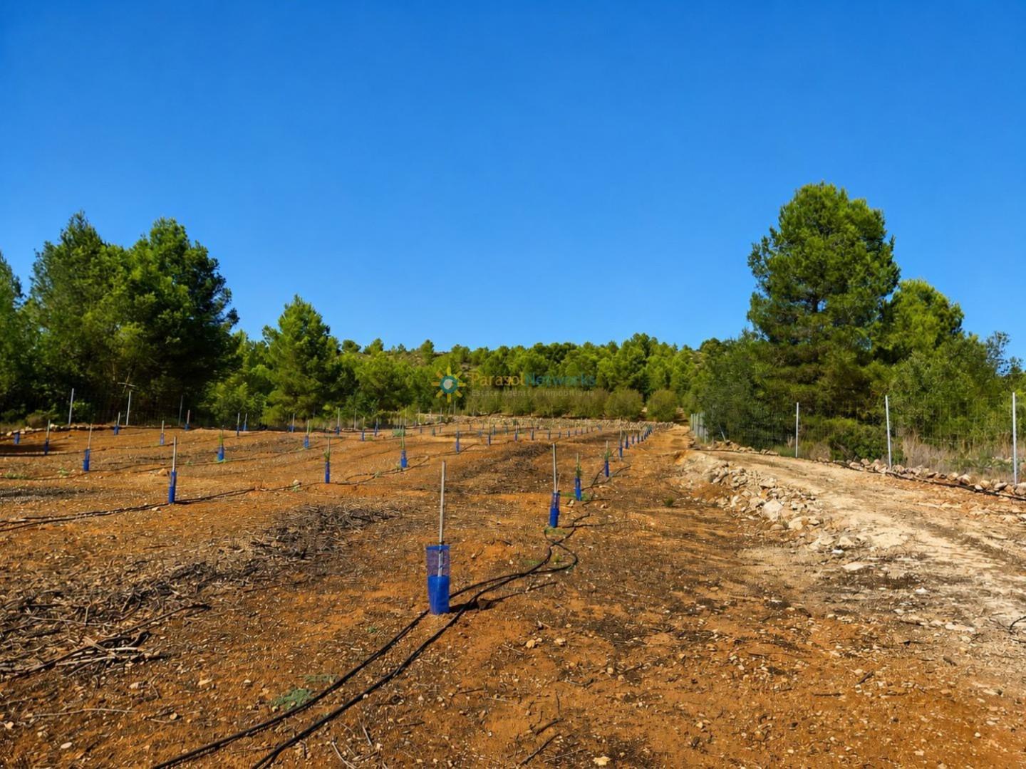 Parcela en Venta en Sumacàrcer