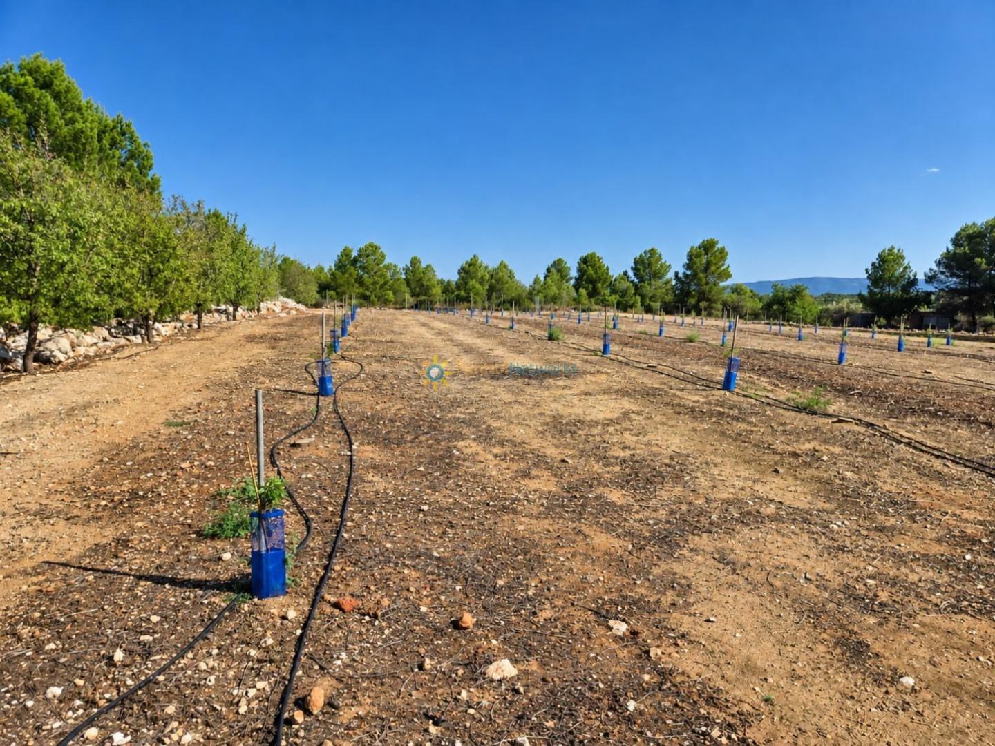 Parcela en Venta en Sumacàrcer