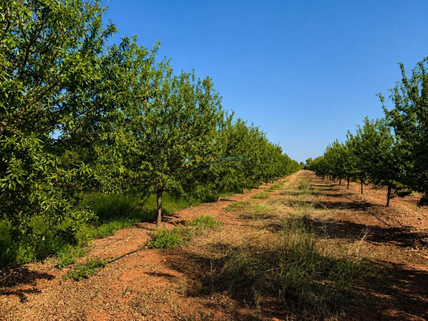 Parcela en Venta en Sumacàrcer