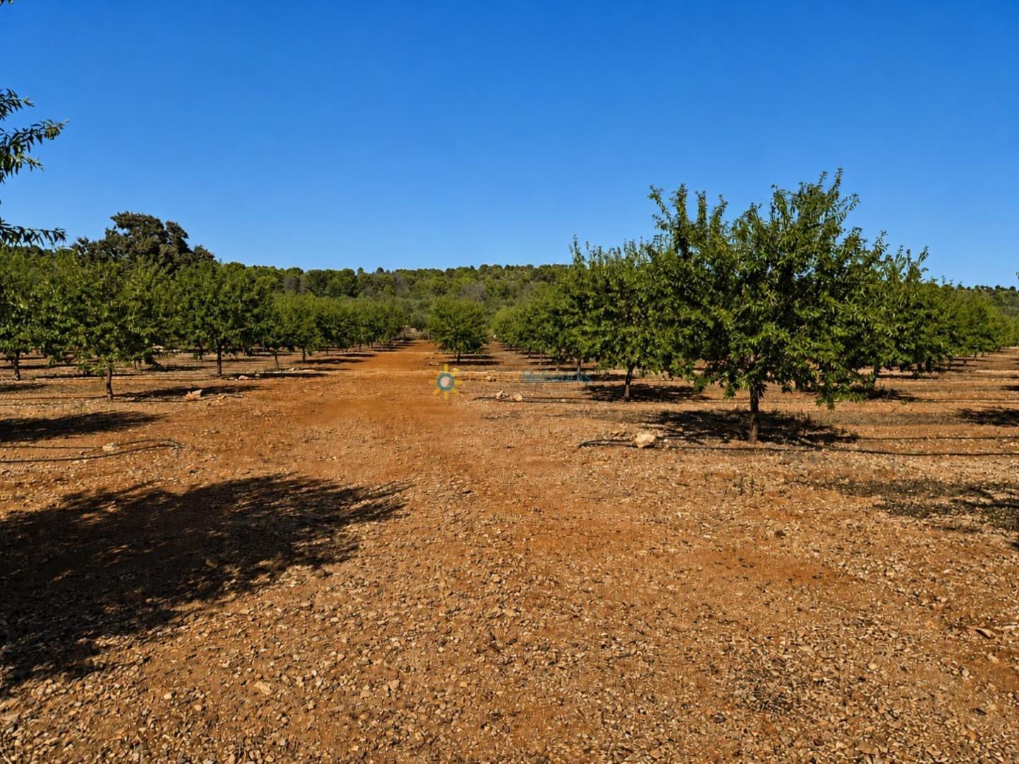 Parcela en Venta en Sumacàrcer
