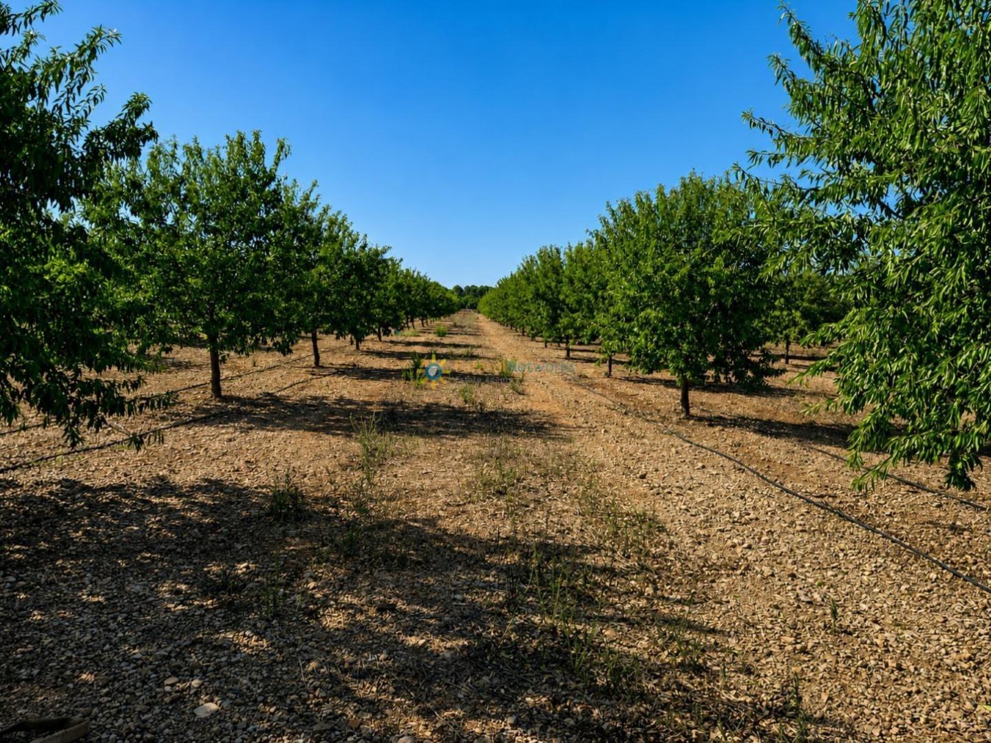 Parcela en Venta en Sumacàrcer