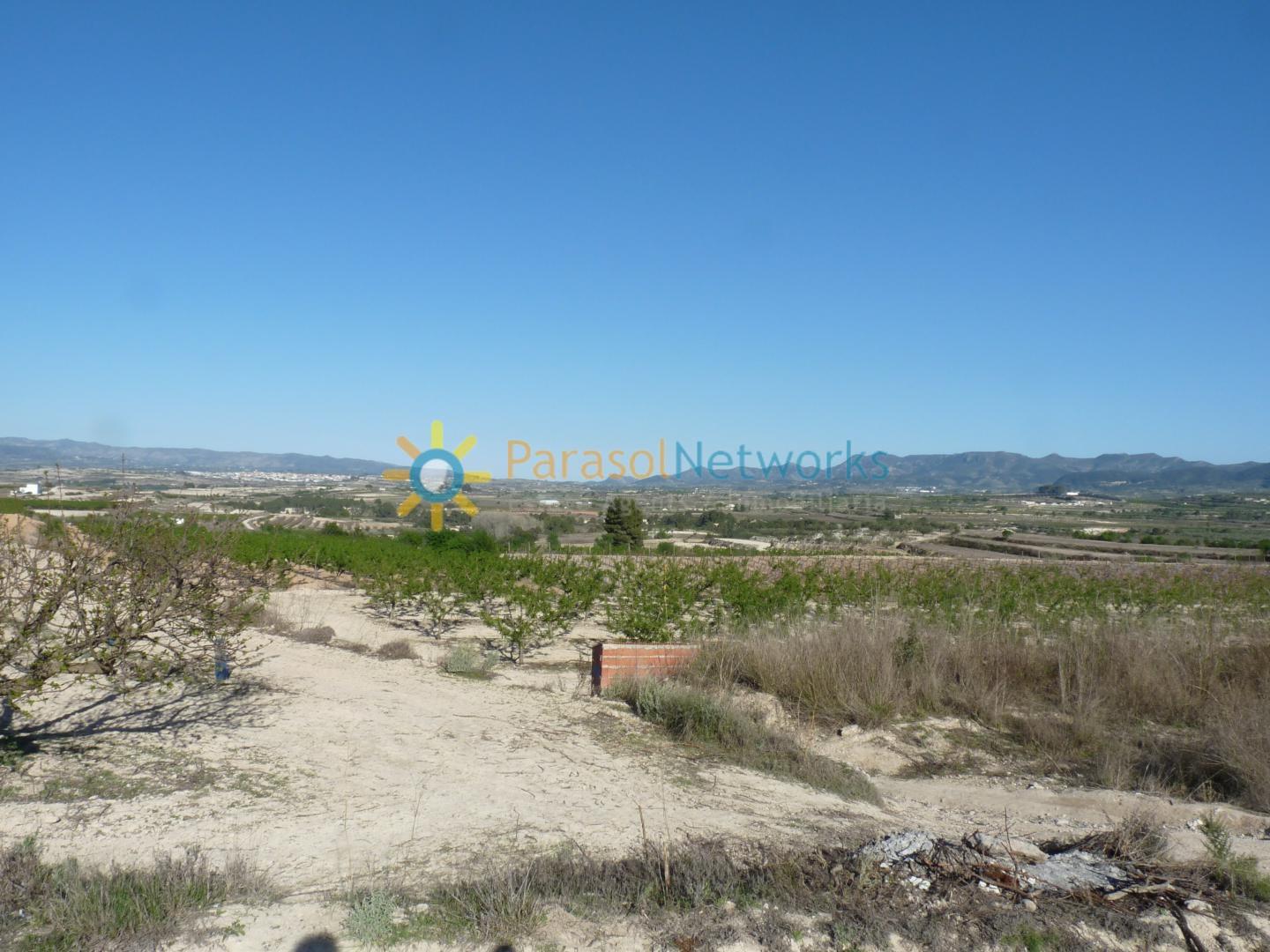 Parcela en Venta en Bèlgida