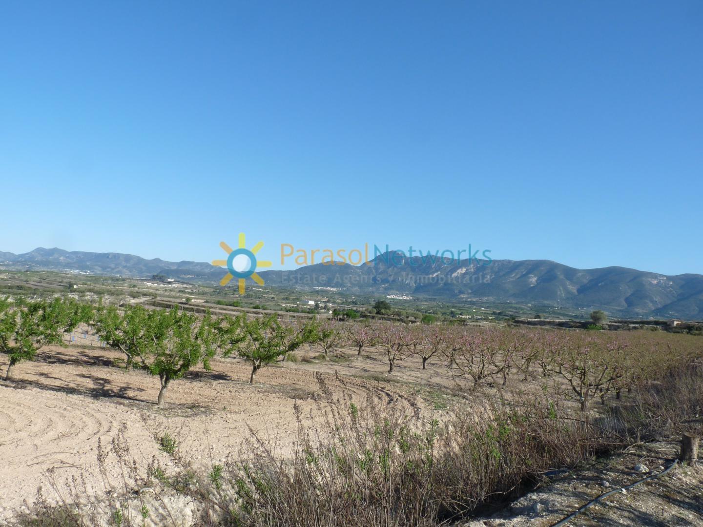 Parcela en Venta en Bèlgida