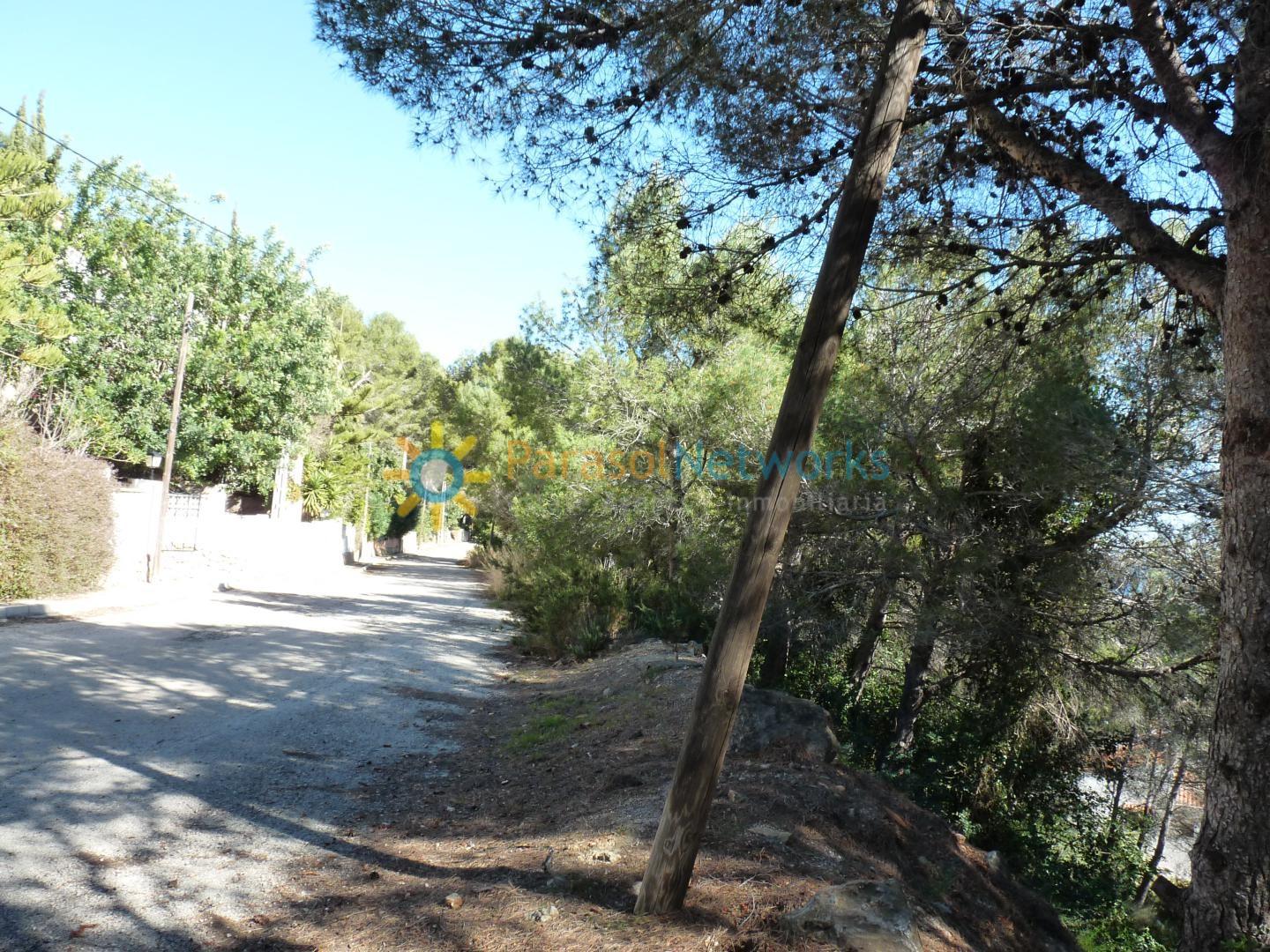 Parcela en Venta en Oliva