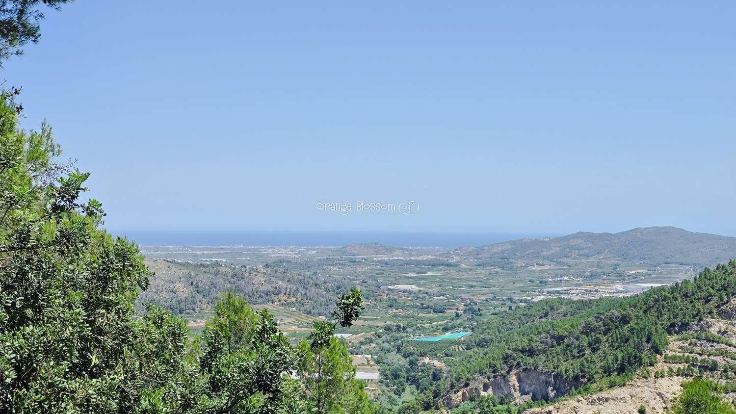 Villa for Sale in Villalonga