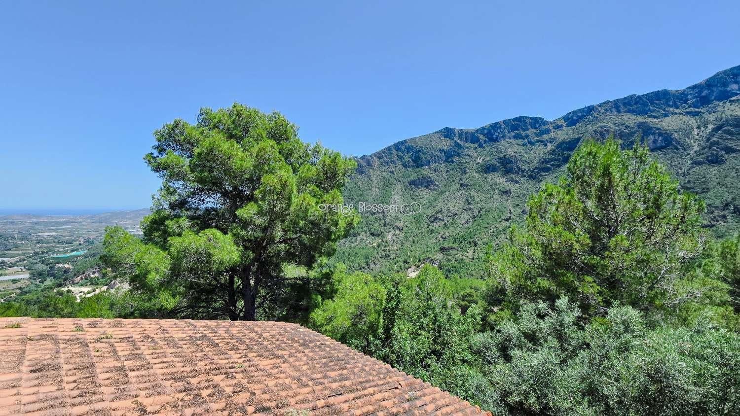 Villa for Sale in Villalonga