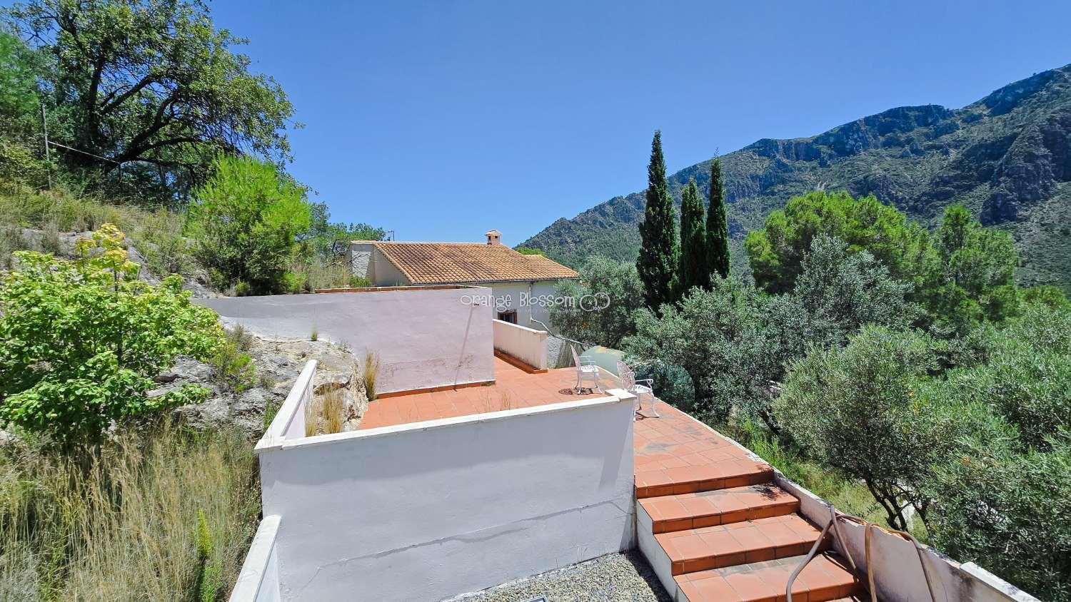 Villa for Sale in Villalonga
