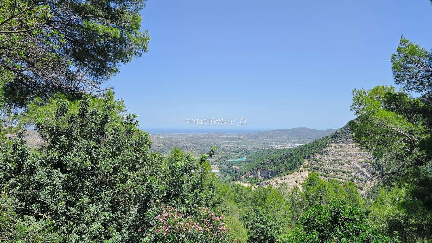Villa for Sale in Villalonga