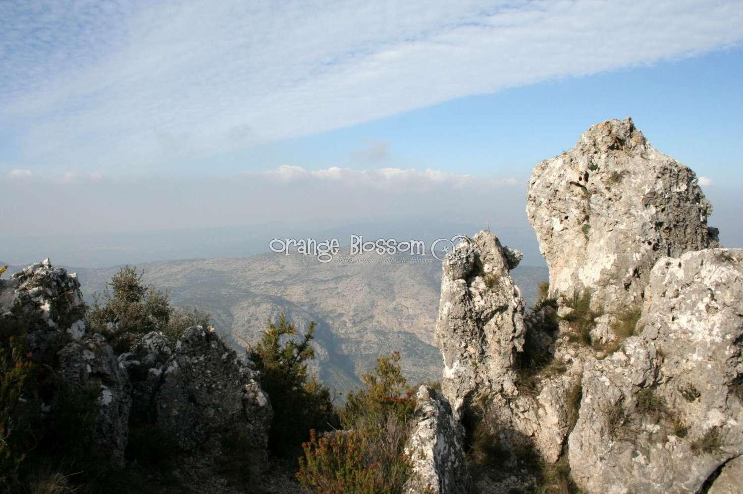 Villa for Sale in Villalonga