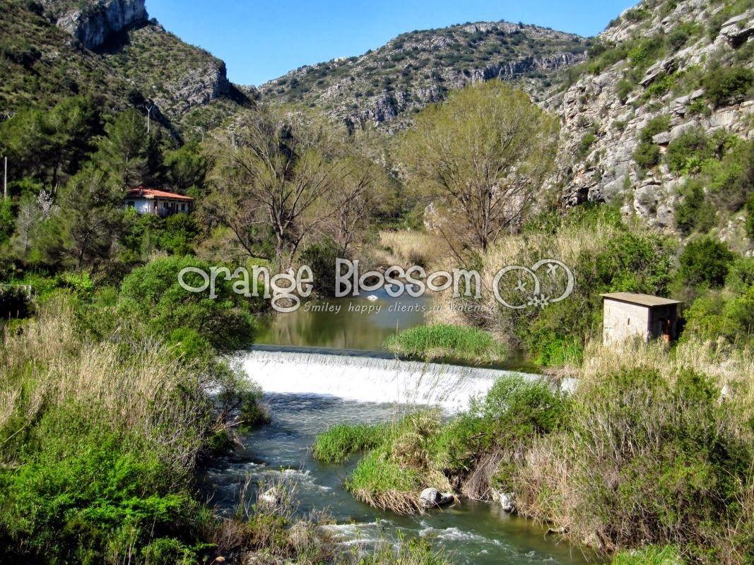 Villa for Sale in Villalonga
